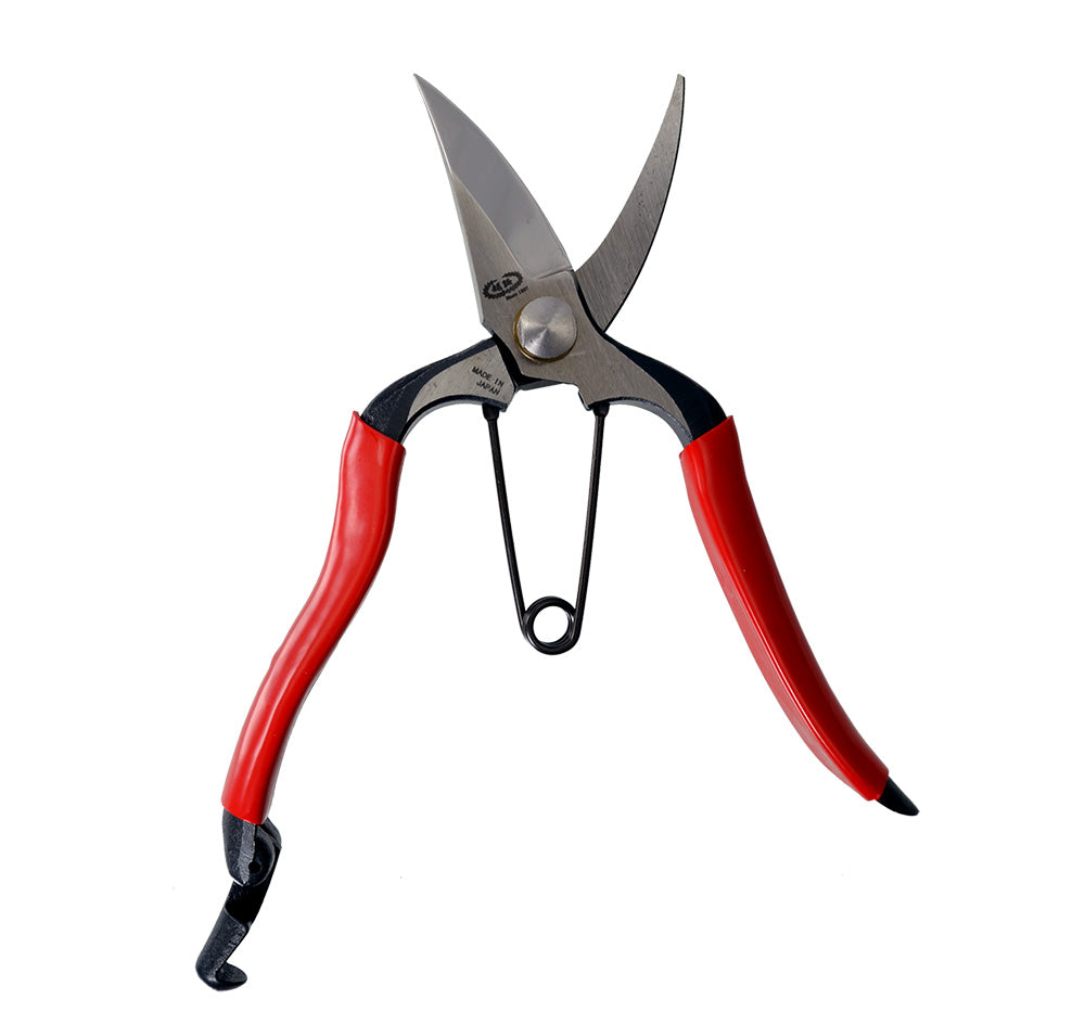 Secateurs