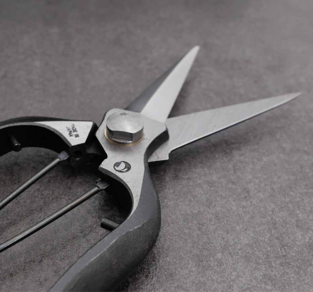 Secateurs