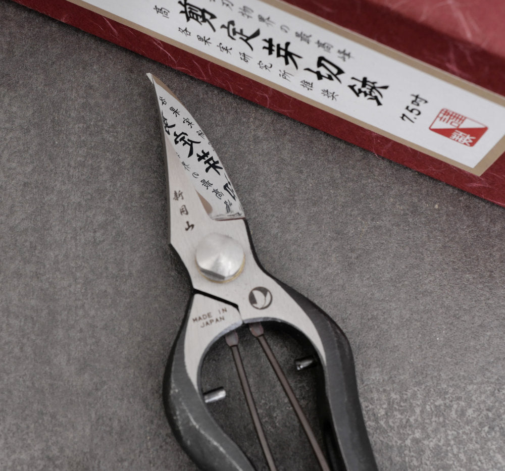Secateurs