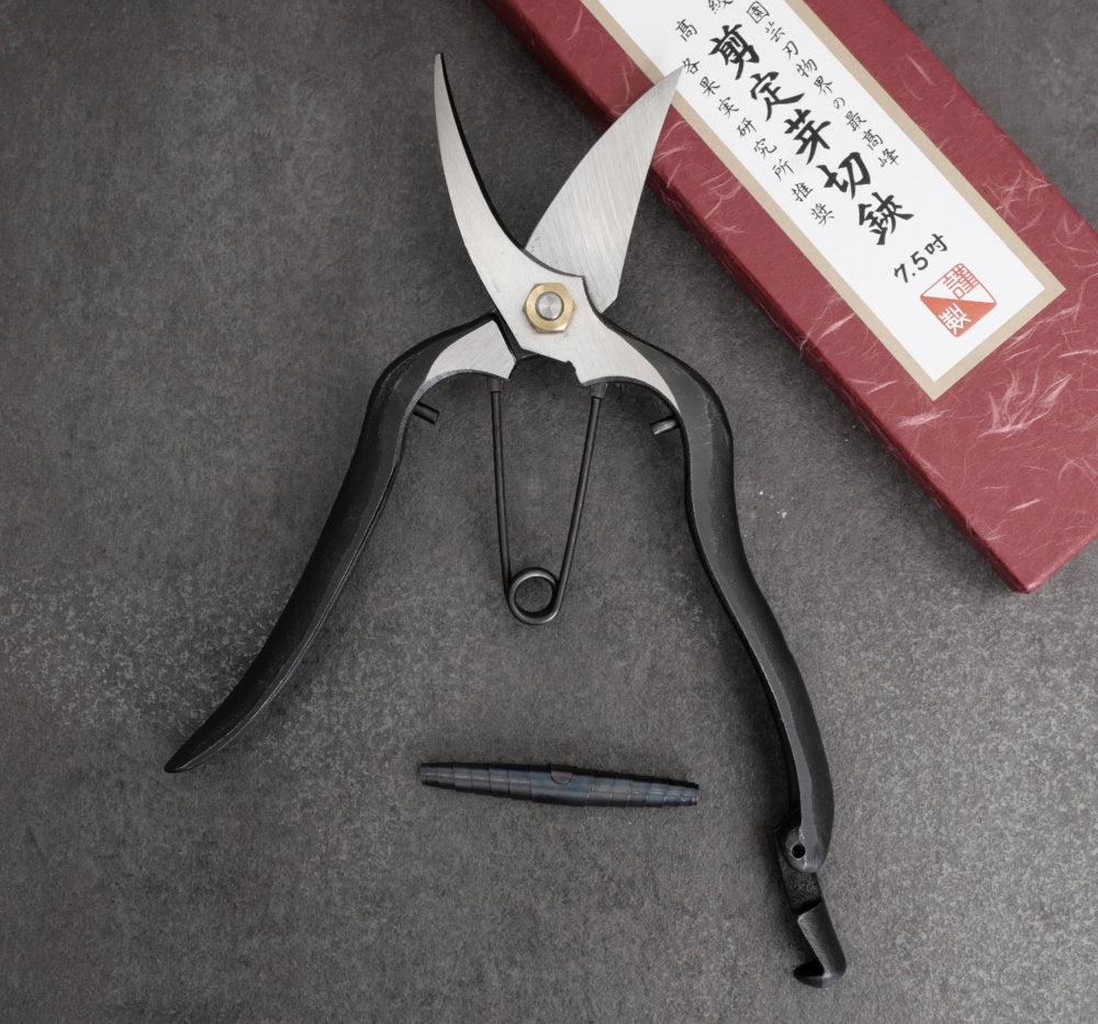 Secateurs