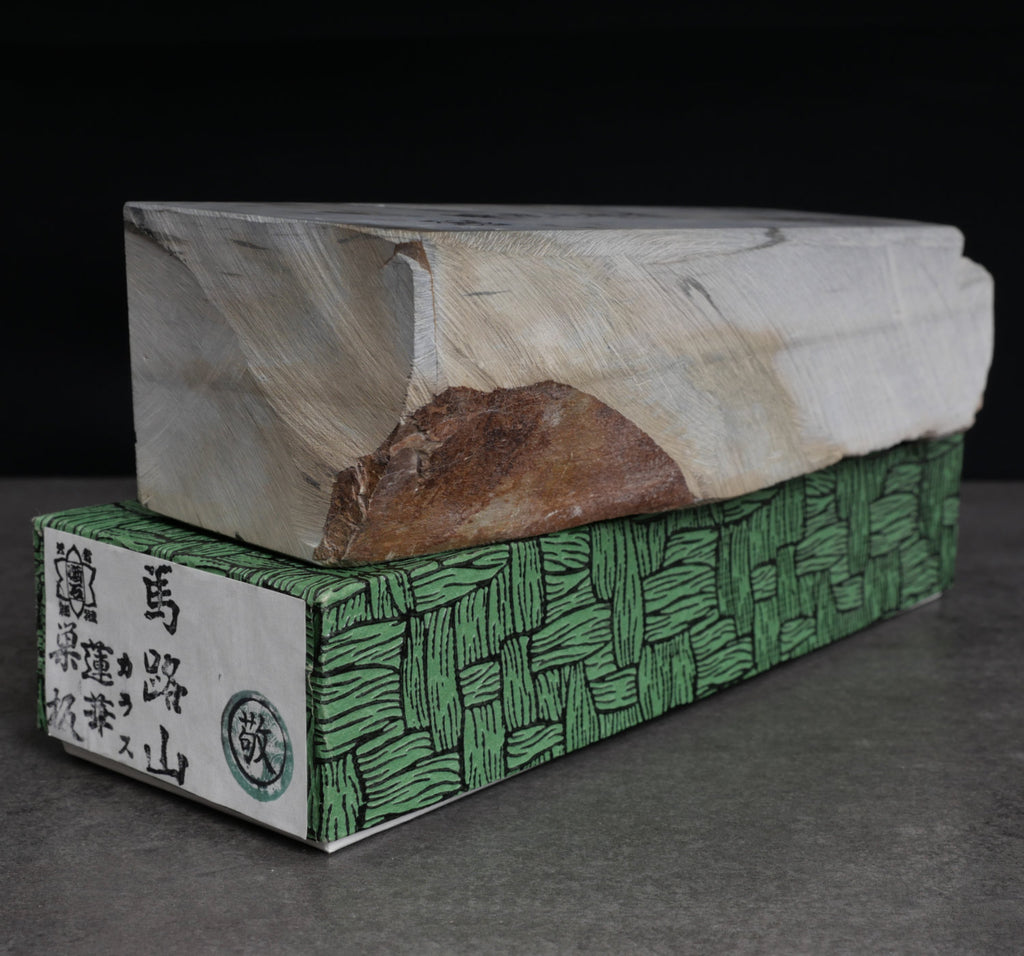 Umajiyama Uchigumori Suita (Crow Lotus)